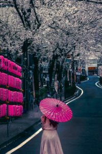 A woman with a pink parasol walking under cherry blossom trees in Shibuya Sakuragaoka, Tokyo, with traditional lanterns and blooming sakura creating a picturesque scene.